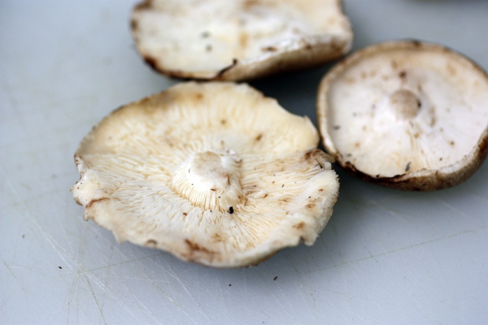 Three shiitake mushroom caps, gills up, on a cutting board