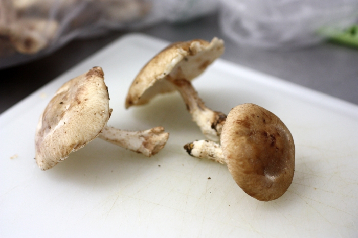 Three fresh shiitake mushrooms, on their sides, on a cutting board