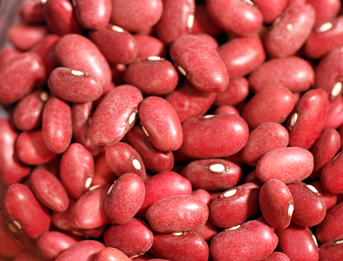 Dried red beans