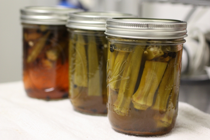 First jars of spicy pickled okra, right out of the canner